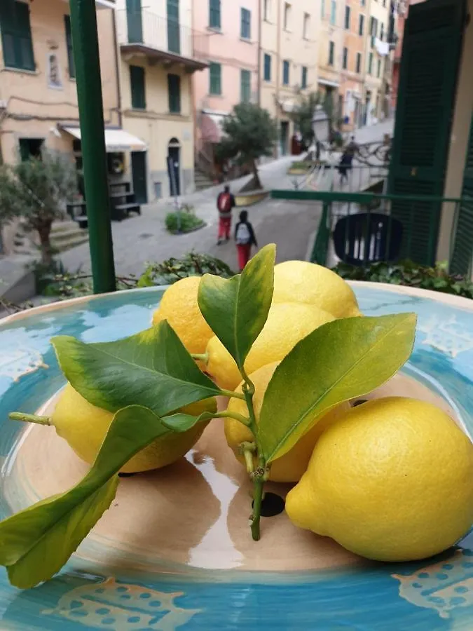 Apartment Ca'La Luna - In Centro Con Terrazza Riomaggiore